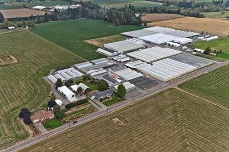 ABOUT FESSLER NURSERY ABOUT FESSLER NURSERY